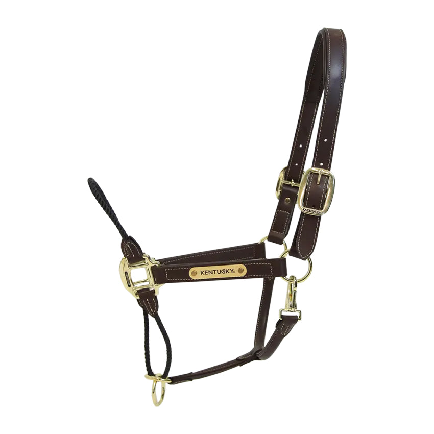 Leather Rope Halter – THE STALL