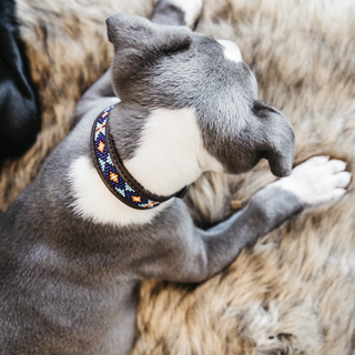 Dog Collar Handmade Pearls