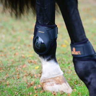 Young Horse Fetlock Boots