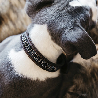 Dog Collar Handmade Pearls