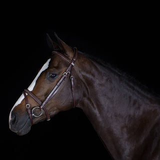 Bridle with flash noseband