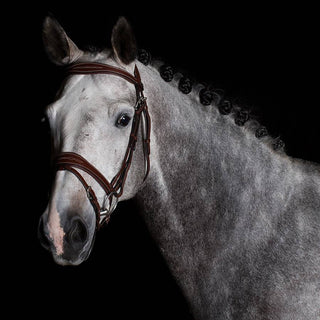 Bridle with flash noseband - Extra comfort