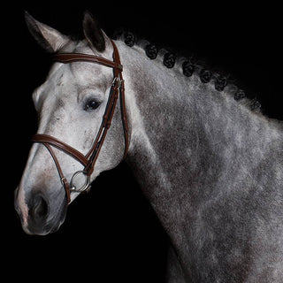 Bridle With Flash Noseband - Cow Leather